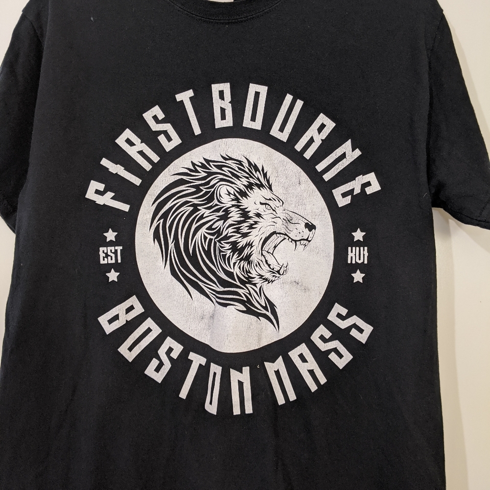 FirstBourne Band Tee Gildan M 100% Cotton Boston - Picture 3 of 4